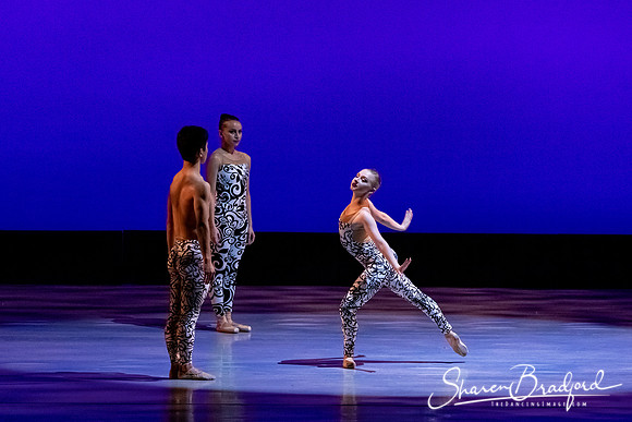 Ballet 37 pc Sharen Bradford-0529