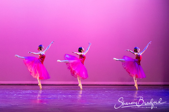 Waltz of the Flowers pc Sharen Bradford-2770