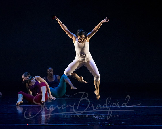 imPULSE dance project pc Sharen Bradford-4195