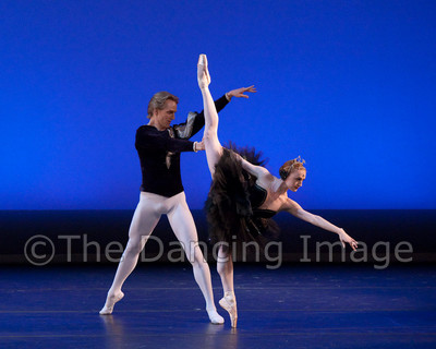 Black Swan-1112
