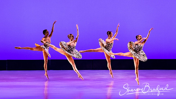 Ballet 37 pc Sharen Bradford-0415