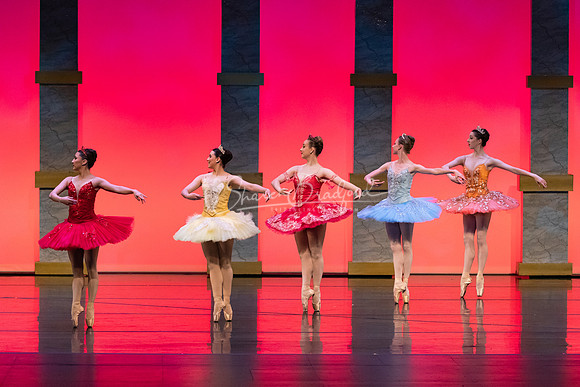 Ballet NTX Sleeping Beauty pc Sharen Bradford-0070