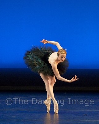 Black Swan-1201