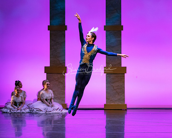 Ballet NTX Sleeping Beauty pc Sharen Bradford-1878