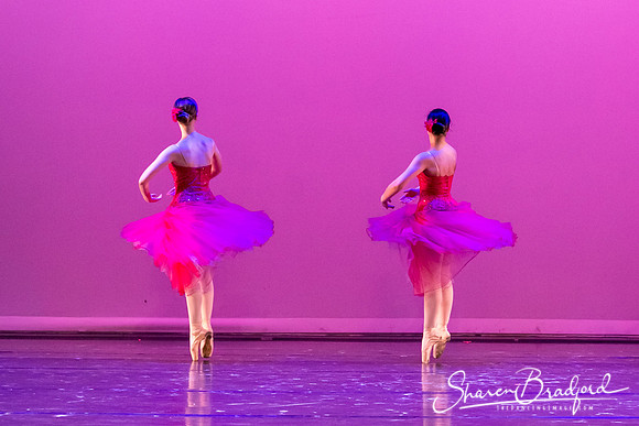 Waltz of the Flowers pc Sharen Bradford-2767