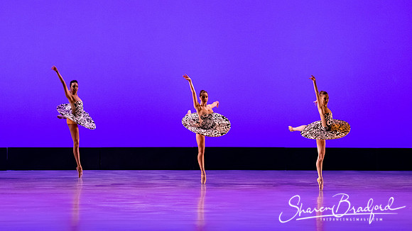 Ballet 37 pc Sharen Bradford-0296