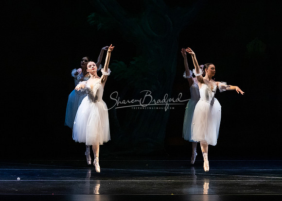 Ballet NTX Sleeping Beauty pc Sharen Bradford-1389