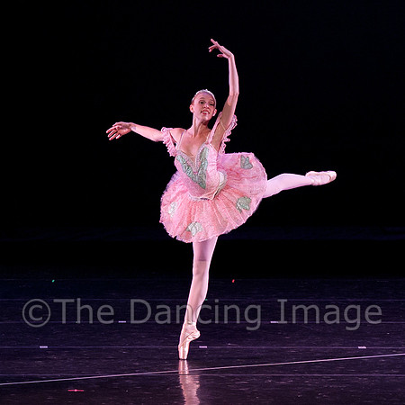 sateve2010-5207