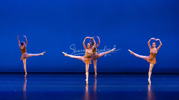 BNT Petit Symphonie pc Sharen Bradford-0282
