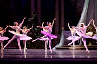 TB Sleeping Beauty Wed.-0069