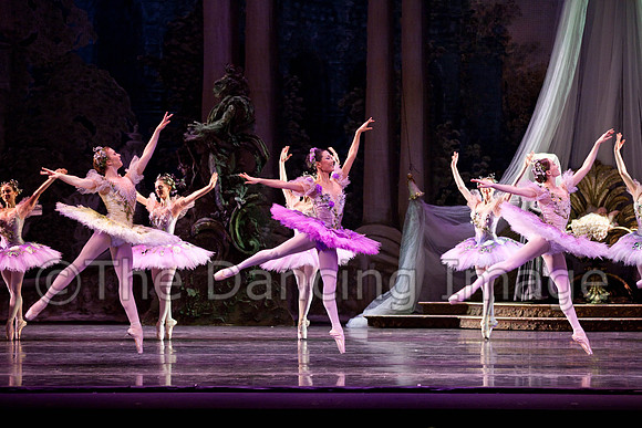 TB Sleeping Beauty Wed.-0069