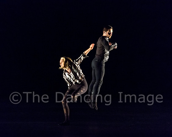 NobleMotion-2598