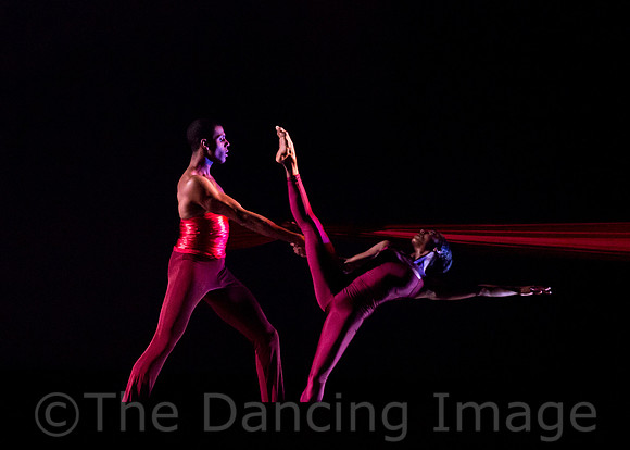 DBDT Encore-8672