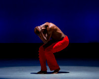 Alvin Ailey ADT-0011