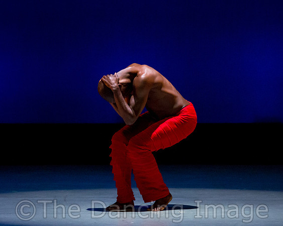 Alvin Ailey ADT-0011