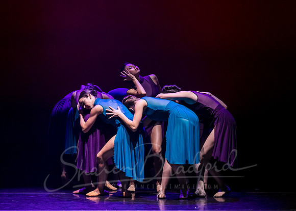 Ballet Frontier pc Sharen Bradford-3390