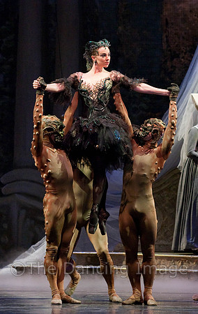 TB Sleeping Beauty Wed.-0134