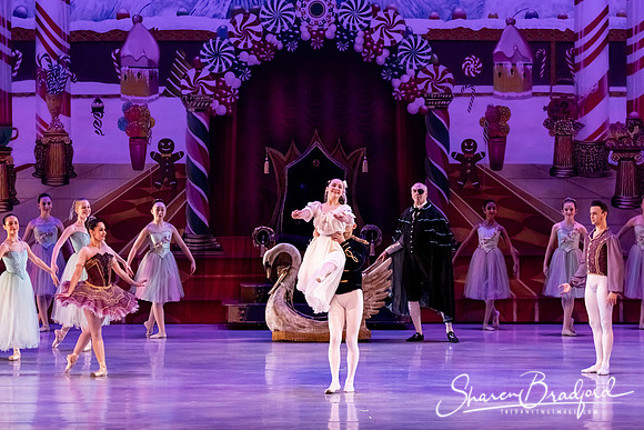 CCBT Nutcracker 19 pc Sharen Bradford-5394