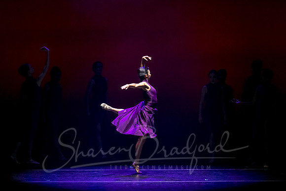 Ballet Frontier pc Sharen Bradford-3383