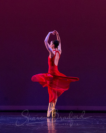 Subconscious Motion pc Sharen Bradford-1280