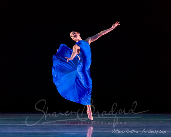 Following Echoes - pc Sharen Bradford-0951