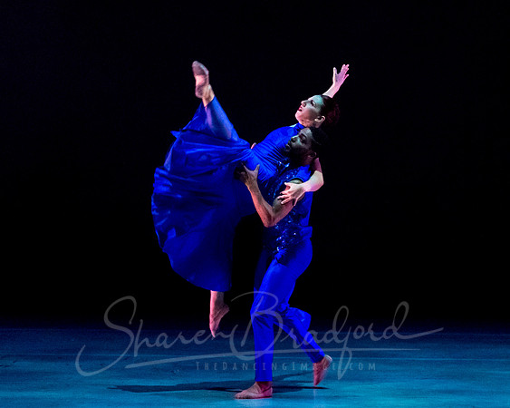 Following Echoes - pc Sharen Bradford-3102