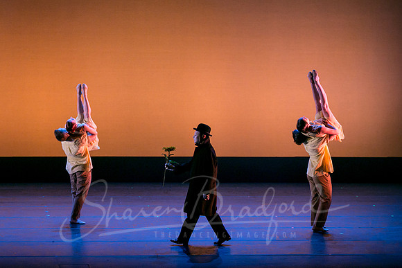 Echoes of Enchantment pc Sharen Bradford-0250