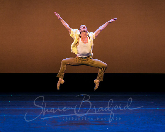 Echoes of Enchantment pc Sharen Bradford-0358