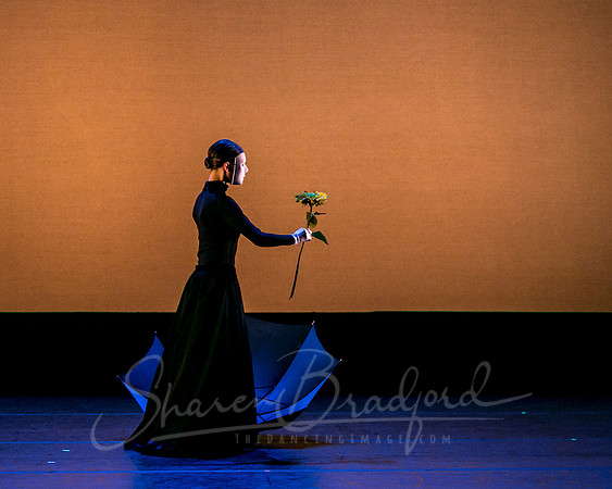 Echoes of Enchantment pc Sharen Bradford-0540