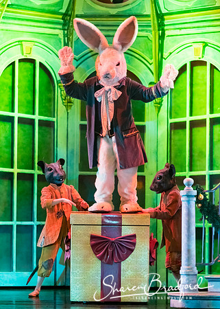 Nutcracker Battle eve pc Sharen Bradford-6552