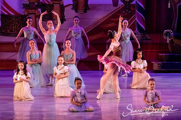 CCBT Nutcracker 19 pc Sharen Bradford-5361