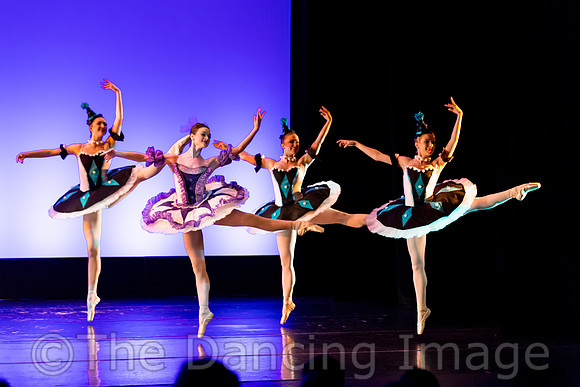 Harlequinade-0034