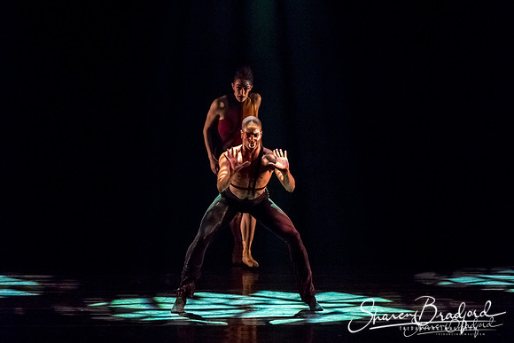 Stardust-pc Sharen Bradford-1183