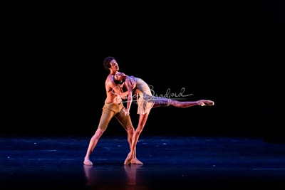 Migration_Lines  Ballet pc Sharen Bradford-41923