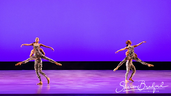 Ballet 37 pc Sharen Bradford-0450