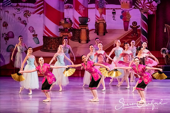 CCBT Nutcracker 19 pc Sharen Bradford-5437