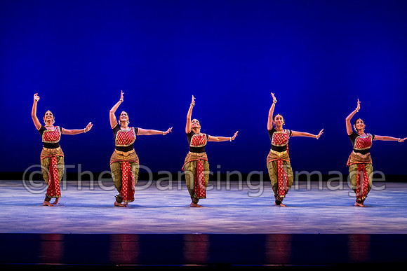 Indique-0385