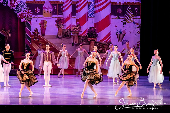 CCBT Nutcracker 19 pc Sharen Bradford-5400
