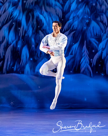 CCBT Nutcracker 19 pc Sharen Bradford-4900