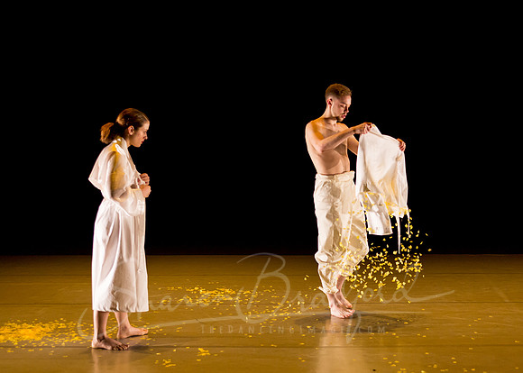 DCCD Yellow - pc Sharen Bradford-0047