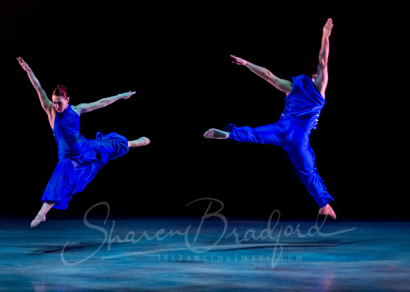 Following Echoes - pc Sharen Bradford-3143