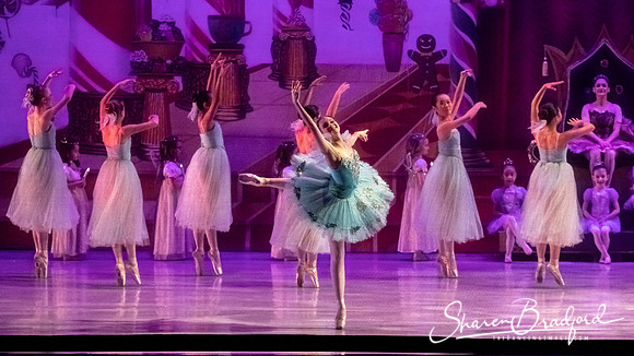 CCBT Nutcracker 19 pc Sharen Bradford-5293