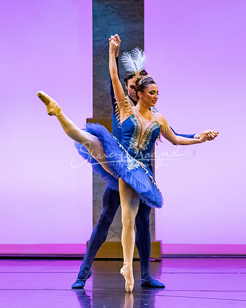Ballet NTX Sleeping Beauty pc Sharen Bradford-1854