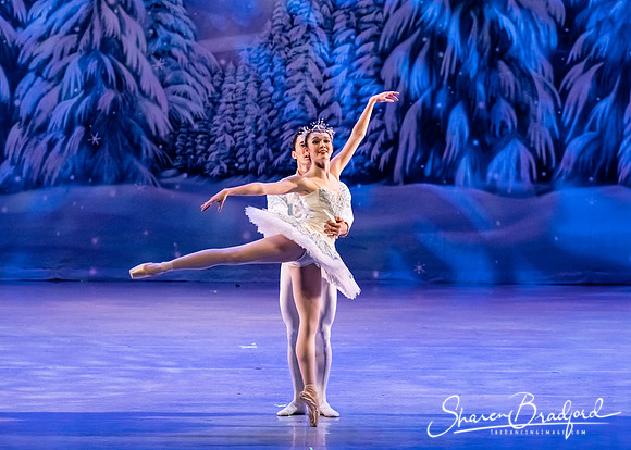 CCBT Nutcracker 19 pc Sharen Bradford-4931