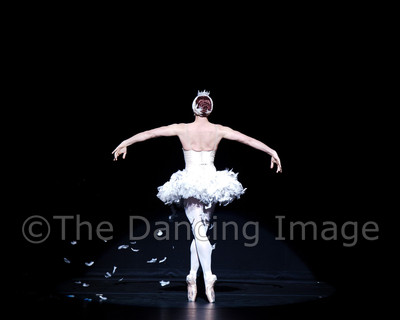 Dying Swan-0487