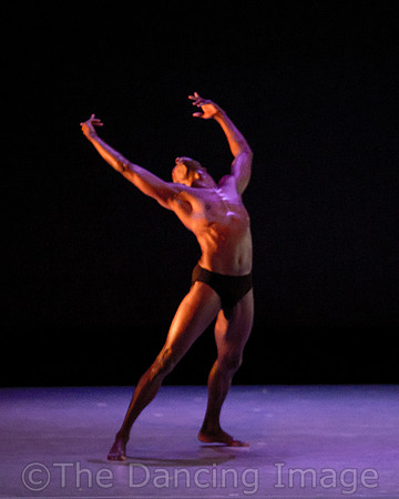Alvin Ailey ADT-2308