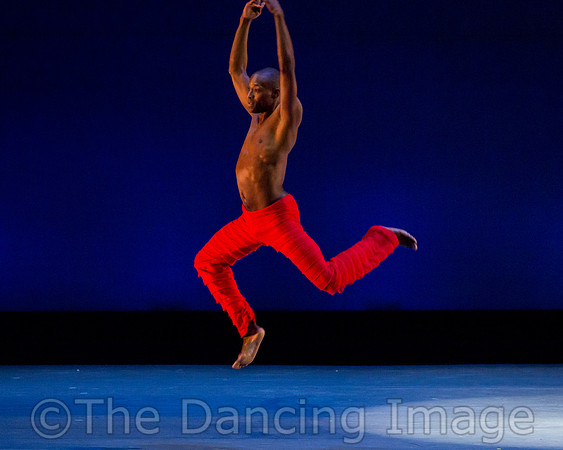 Alvin Ailey ADT-0072