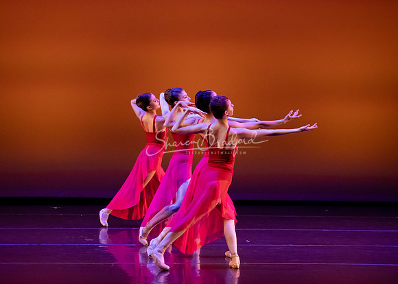 BNT Red Violin pc Sharen Bradford-2920
