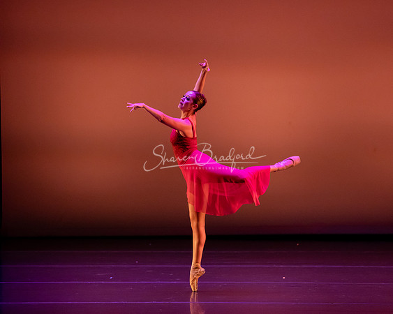 BNT Red Violin pc Sharen Bradford-2905