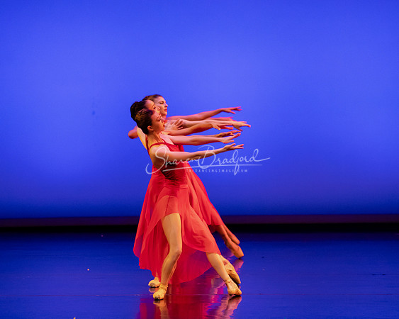BNT Red Violin pc Sharen Bradford-2901